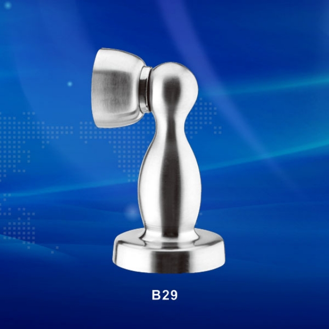 B29