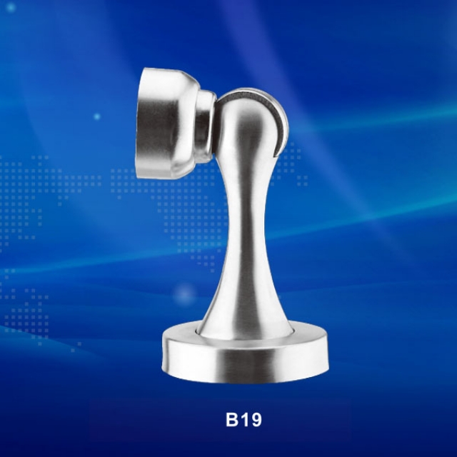 B19